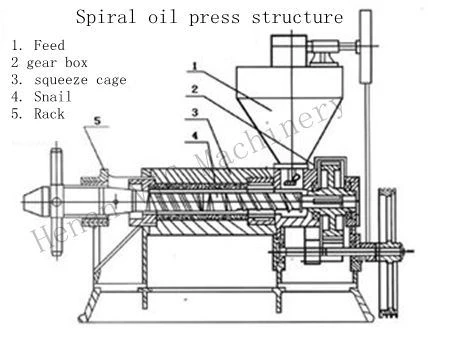 1000kg/h oil press machine